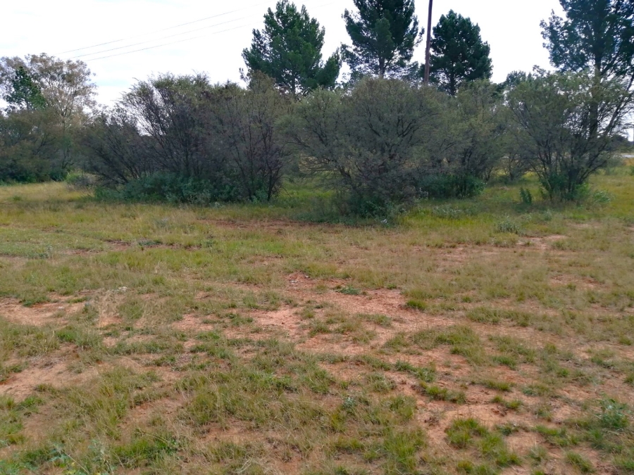Commercial Property for Sale in Raceway Free State